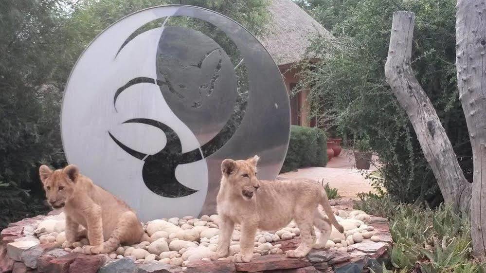 Bona Bona Game Lodge Wolmaransstad ภายนอก รูปภาพ